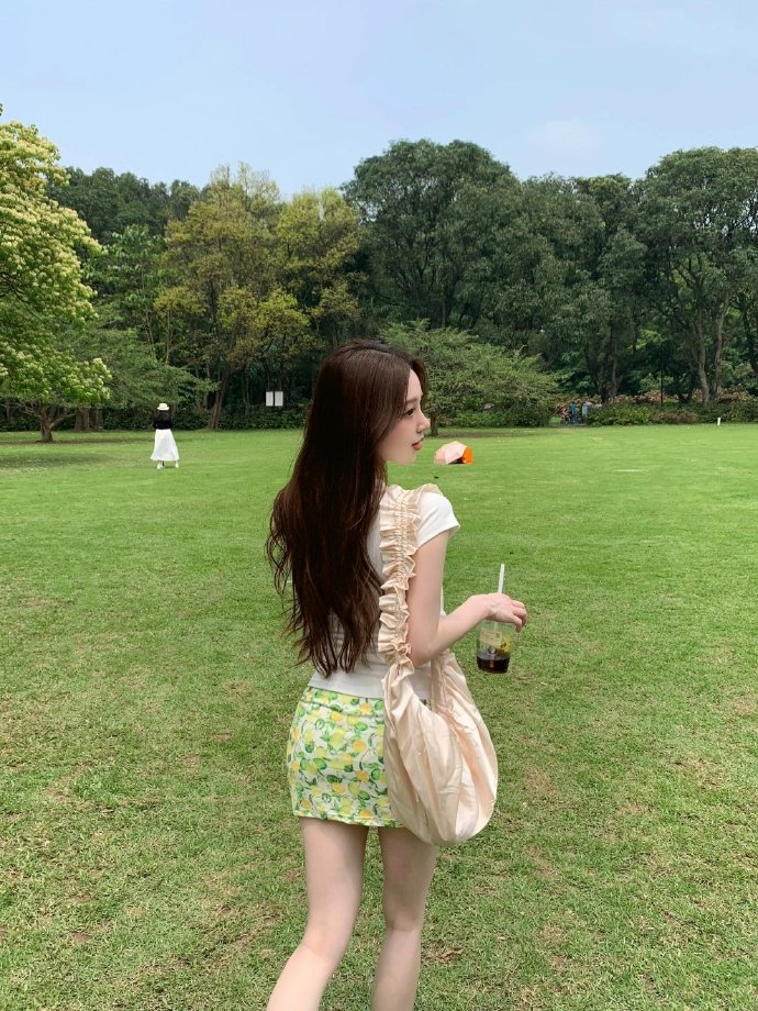 雍正王朝 封面