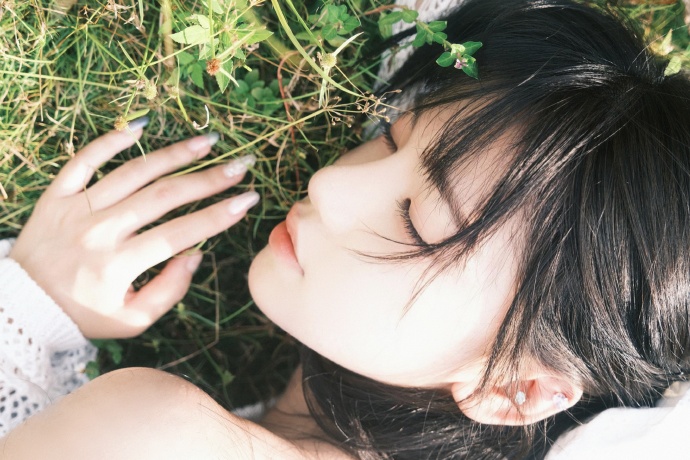 雍正王朝 封面